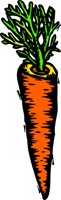 CARROT1A.CMX