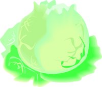 CABBAGE1.CMX