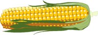 4510.CMX