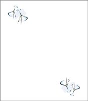 PLACCARD.CMX