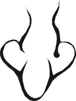 NOSE0020.CMX