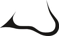 NOSE0019.CMX