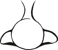 NOSE0008.CMX