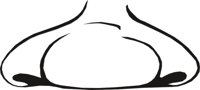 NOSE0007.CMX