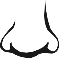 NOSE0005.CMX