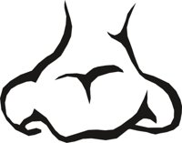 NOSE0003.CMX
