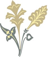 SS24.CMX