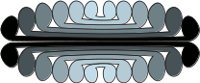 MC16.CMX