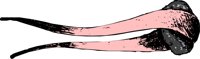 RE000253.CMX