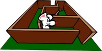 RATMAZE.CMX