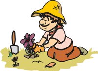 KIDPLANT.CMX