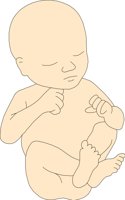CHILD022.CMX