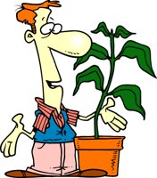 PLANTTAL.CMX