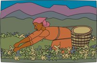 FARMING1.CMX