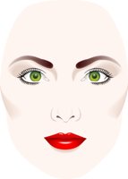 FACE1.CMX