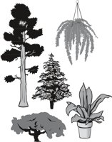 TREEFERN.CMX