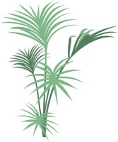 SENTPALM.CMX