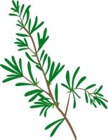 ROSEMARY.CMX