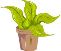 POTPLNTA.CMX