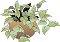 POTPLANT.CMX