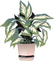 PLANTX.CMX