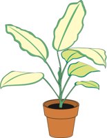PLANTC.CMX
