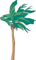 PALM.CMX