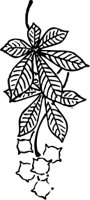 OBPL0230.CMX