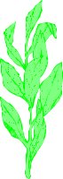 OBPL0019.CMX