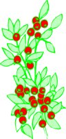 OBPL0010.CMX