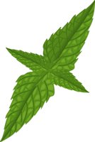 MINT.CMX