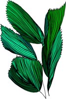 MB01014A.CMX