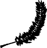 LEAFS027.CMX