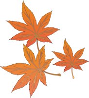 LEAF06.CMX