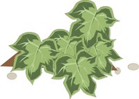 IVYLEAF.CMX