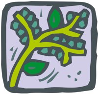 HERB01.CMX