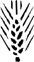 GRANS041.CMX