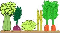 GARDENPL.CMX