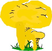 FUNGI014.CMX