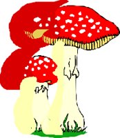 FUNGI013.CMX