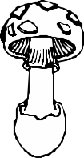 FUNGI009.CMX