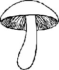 FUNGI001.CMX