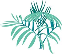 FERN.CMX