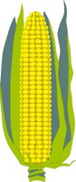 CORN.CMX