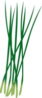 CHIVES.CMX