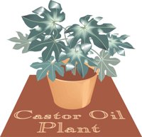 CASTOR.CMX
