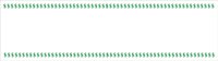 SALSMNYR.CMX