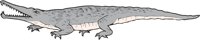 RUTIODON.CMX