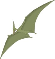 PTERADAC.CMX
