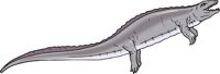 PLACODUS.CMX